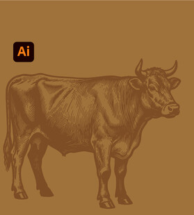 牛矢量插画