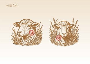 手绘羊插画