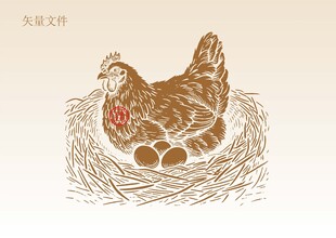 手绘母鸡插画