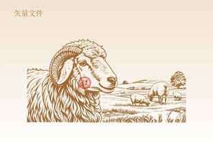 手绘羊素描插画