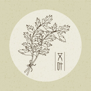 矢量手绘艾叶插画