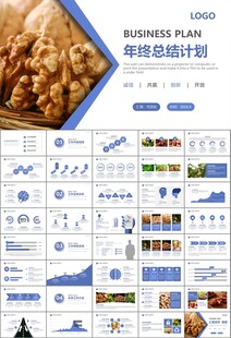 精美核桃种植产业总结计划ppt