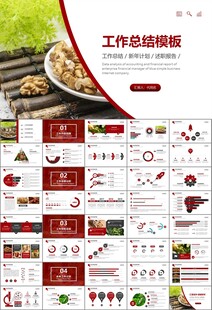 精美核桃种植产业总结计划ppt