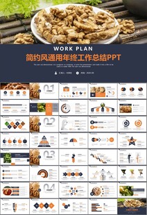 精美核桃种植产业总结计划ppt