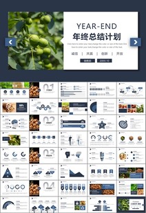 精美核桃种植产业总结计划ppt