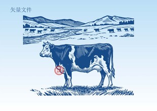 奶牛素描插画版画