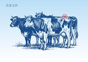 手绘奶牛素描插画版画