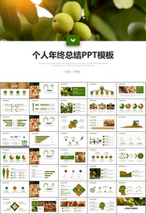 精美核桃种植产业总结计划ppt