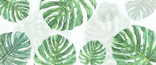 热带雨林绿植雾气模糊背景