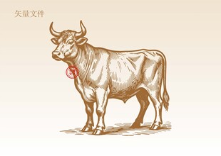 牛素描插画版画