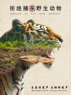 保护野生动物海报