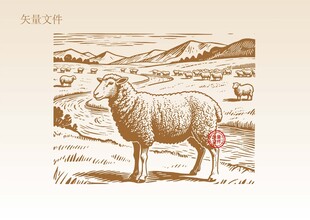 羊群插画