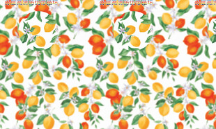 水果花卉图案背景花纹图