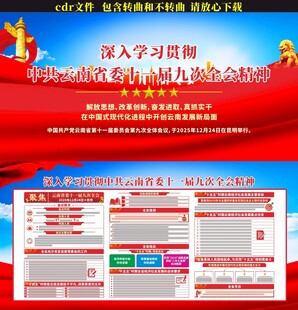 云南省委十一届九次全会