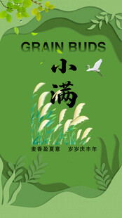 小清新风格谷物插画海报小满