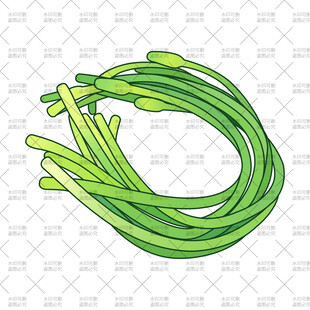 手绘新鲜蒜苔插画