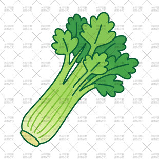 小芹菜插画
