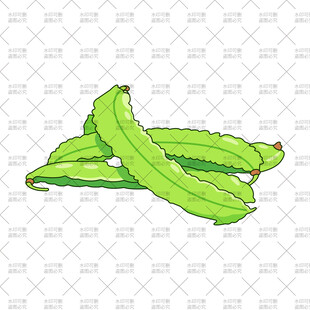 翠绿刀豆插画