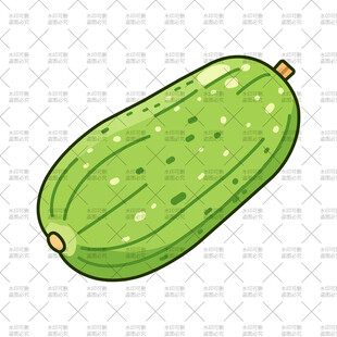 冬瓜插画