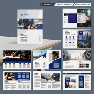 大气律师事务所画册