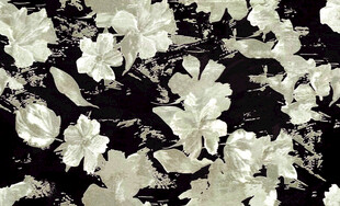 黑白花卉图案纹理