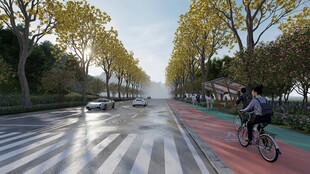 秋日骑行在林荫大道