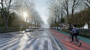 清晨骑行在林荫步道上