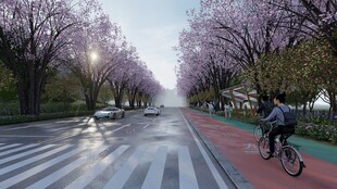 春日樱花道上的骑行者
