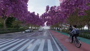 紫花树下的骑行风景