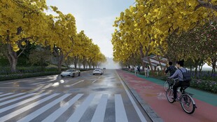 秋日骑行路 黄叶伴行人