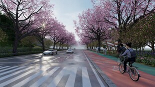 春日骑行于烂漫樱花道