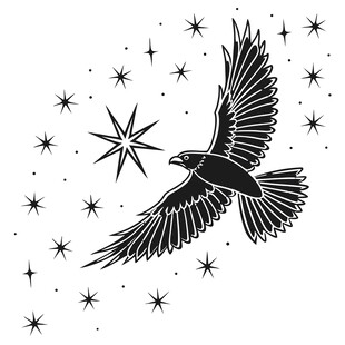 飞翔的鹰与闪耀星芒