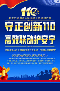 110宣传海报