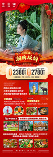 新年春节云西双版纳旅游海报