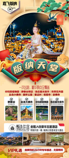 新年春节云西双版纳旅游海报
