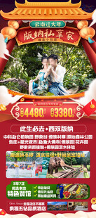新年春节云西双版纳旅游海报