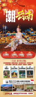新年春节云西双版纳旅游海报