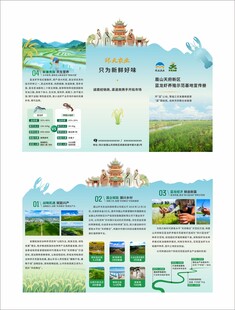 农产品海鲜龙虾异形三折页