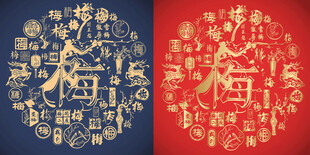 梅字书法底纹梅字标志百梅图