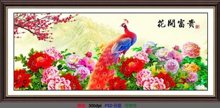 孔雀牡丹花开富贵