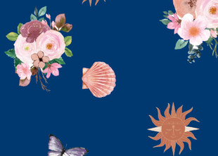 贝壳  太阳  大花