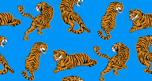蓝色背景上的老虎图案