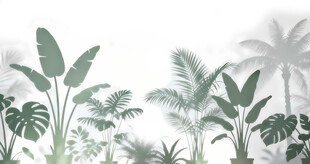 雾气磨砂膜效果绿植贴图