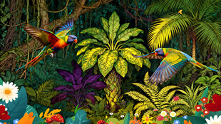 热带雨林鹦鹉植物背景