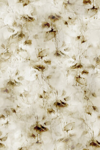 棉花特写纹理图