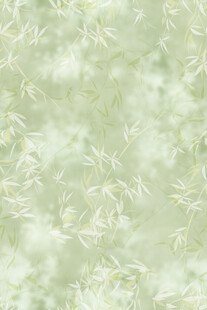 淡绿色植物纹理背景图