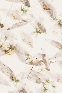 白色背景上的花朵与枝叶