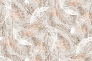 羽毛纹理图案