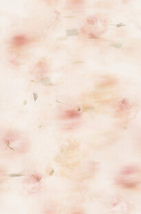 淡粉色花卉纹理背景图