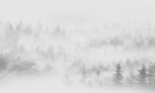 迷雾森林意境水墨山水画背景墙